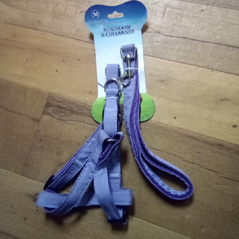 Purple Dog Leash & Collar Set for Kids